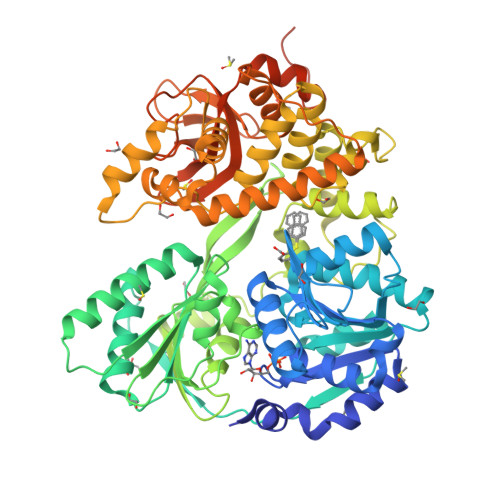Structure 28ZM