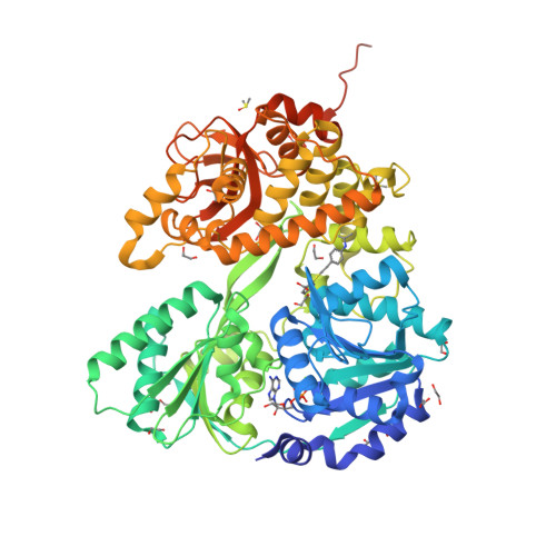 Structure 28ZP
