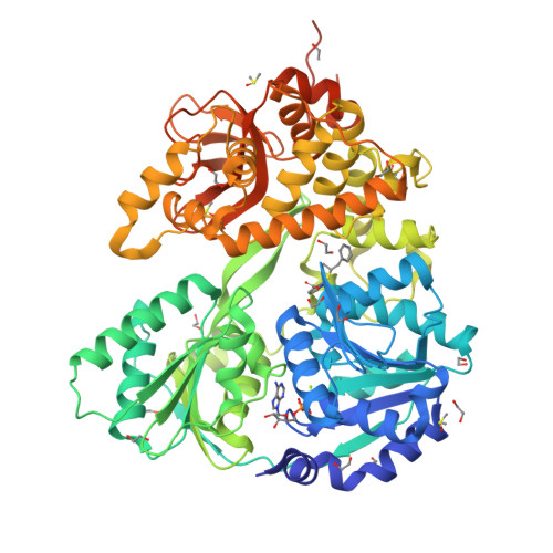 Structure 28ZQ