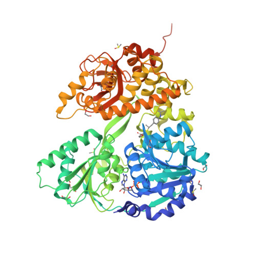 Structure 28ZR