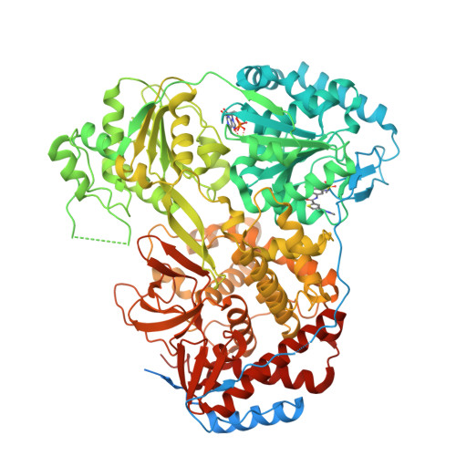 Structure 28ZT