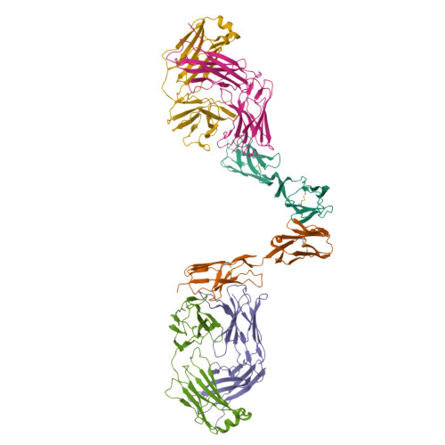 Structure 29CP