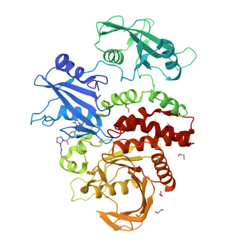 Structure 29CY