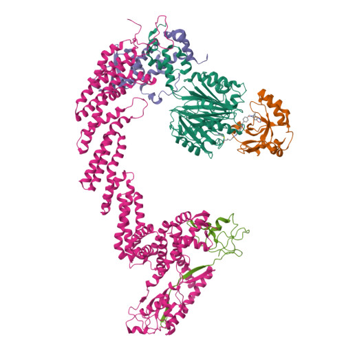 Rbx1 Structure RCSB PDB - 29HG: Cryo-EM structure of the CUL1-RBX1-SKP1-FBXO22 SCF ...