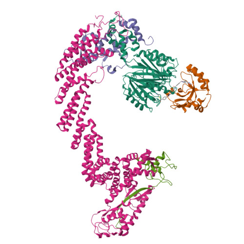 Rbx1 Structure RCSB PDB - 29HI: Cryo-EM structure of the CUL1-RBX1-SKP1-FBXO22 SCF ...