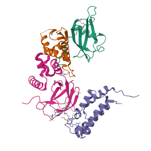Structure 29HO