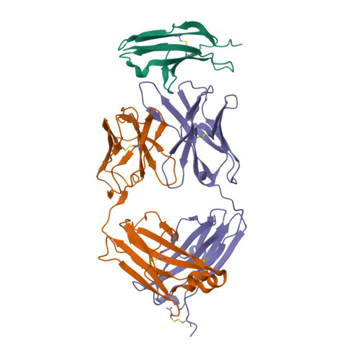 Structure 29IN