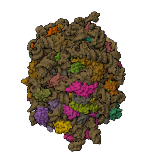 Structure 29IW