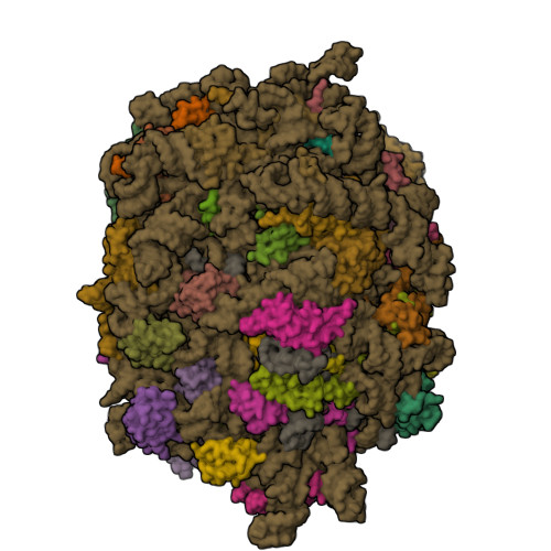 Structure 29IX