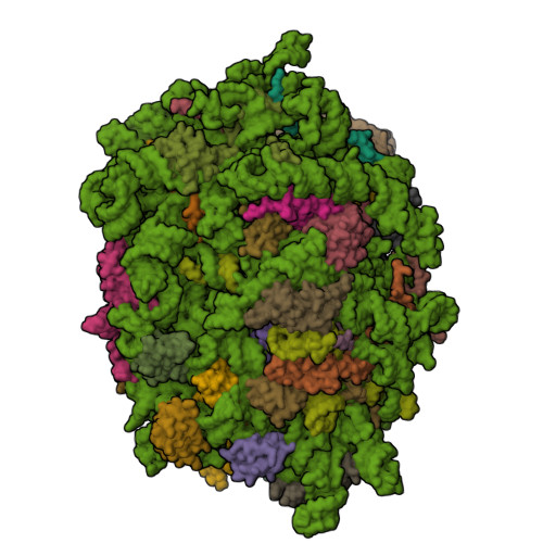 Structure 29IY