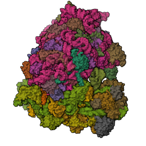 Structure 29IZ