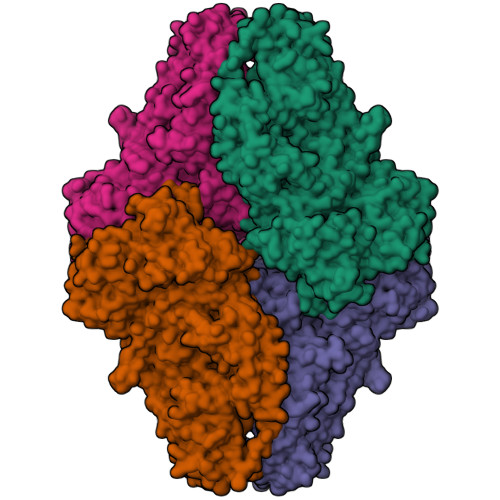 Structure 29JF