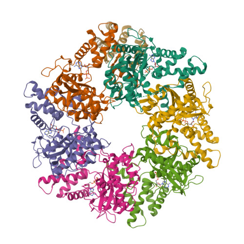 Structure 29JR