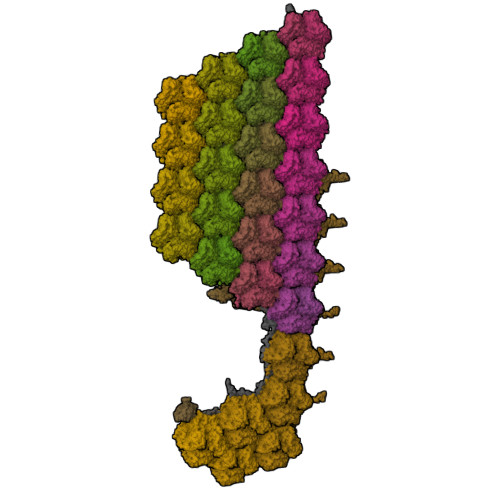 Structure 29KH
