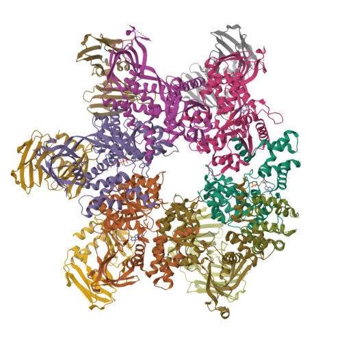 Structure 29KN