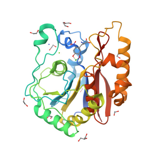 Structure 29LB