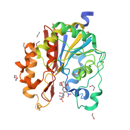Structure 29LE