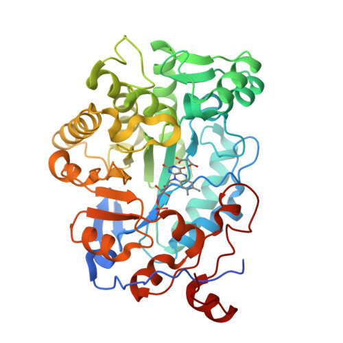Structure 29NS