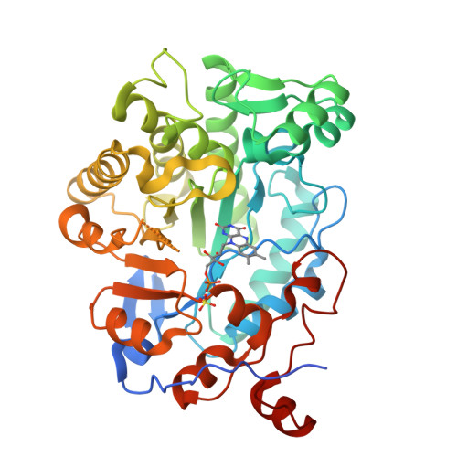 Structure 29NT