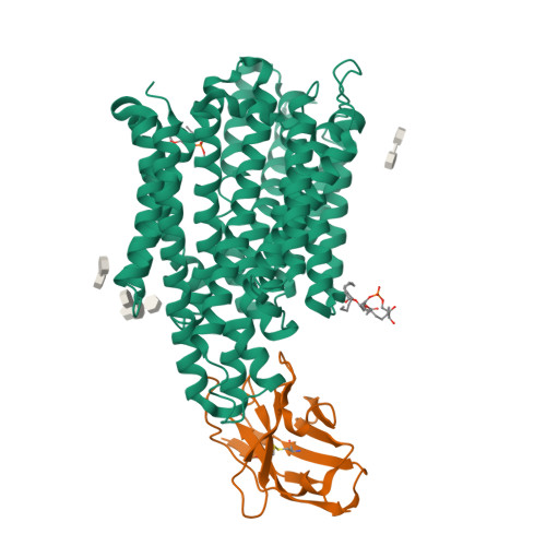 RCSB PDB - 29ON: Crystal structure of the staphylococcal efflux pump ...