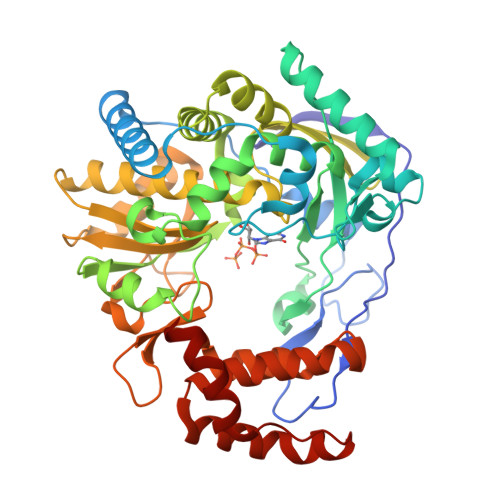 Structure 29QG