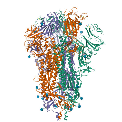 Structure 29SU
