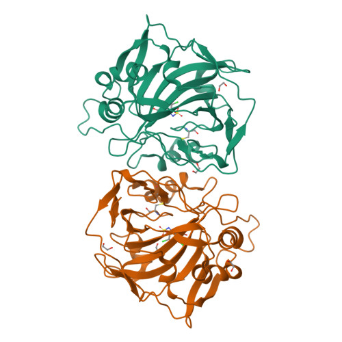 Structure 29SV