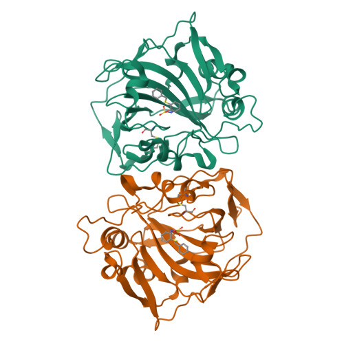 Structure 29SX