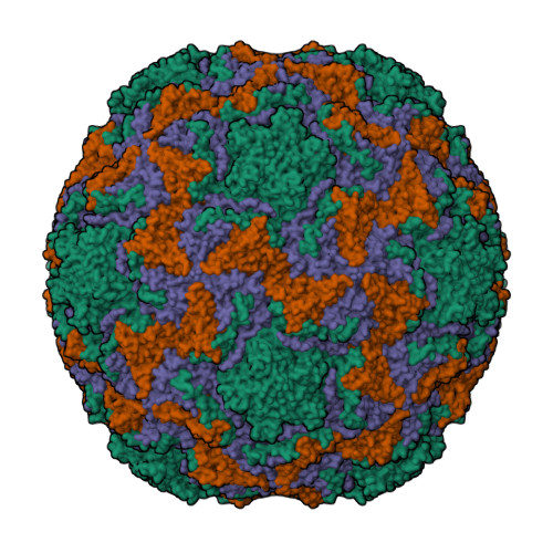 Structure 29TI