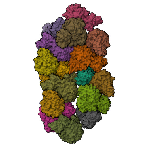 Structure 29TW