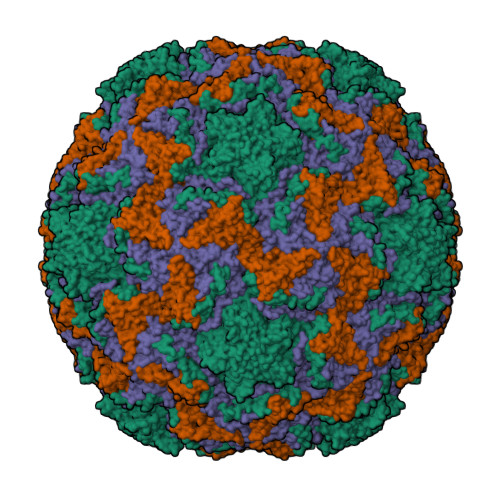Structure 29UB