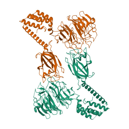 Structure 29UE