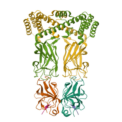Structure 29UI