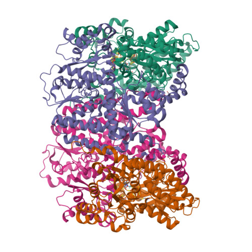 Structure 29UL