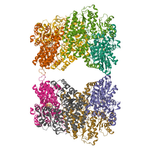 Structure 29UN
