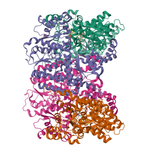 Structure 29UP