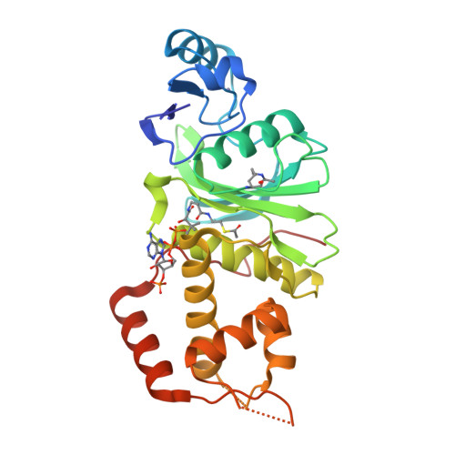 Structure 29UR