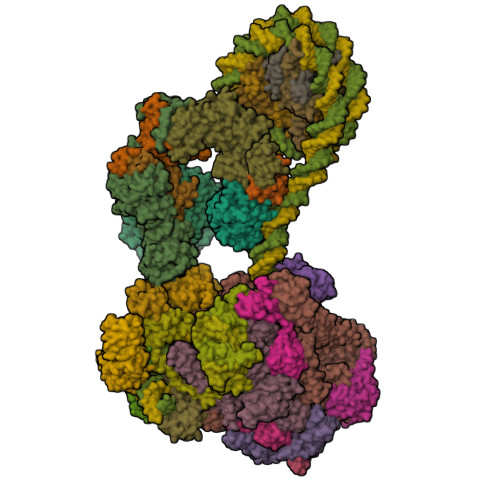 Structure 29VF