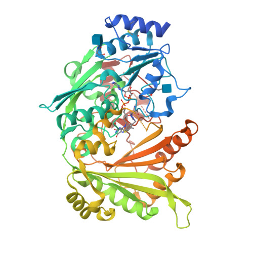 Structure 29VY