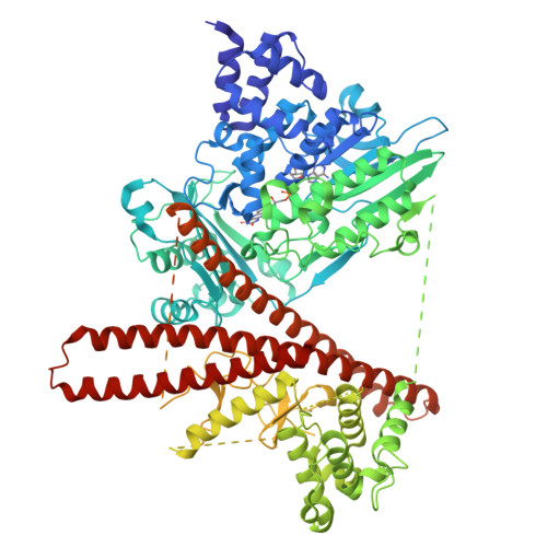 Structure 29XK