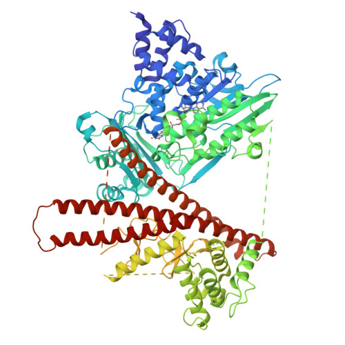 Structure 29XL