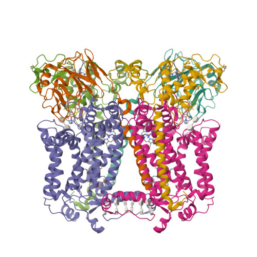 Structure 29YB