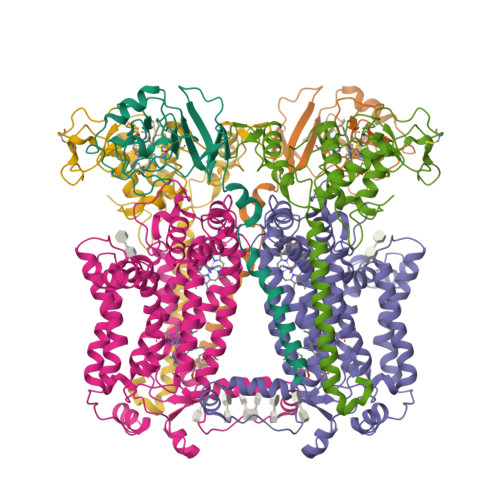 Structure 29YC