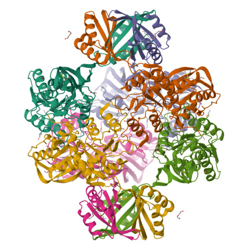 Structure 29ZE