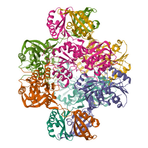 Structure 29ZF
