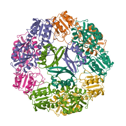 Structure 29ZH