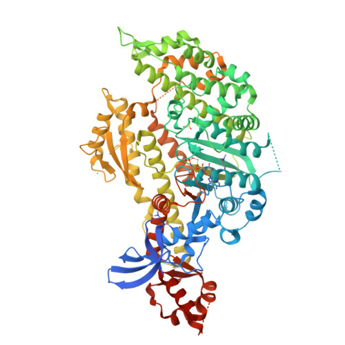 Structure 29ZY