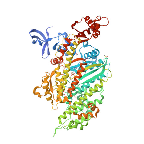 Structure 29ZZ