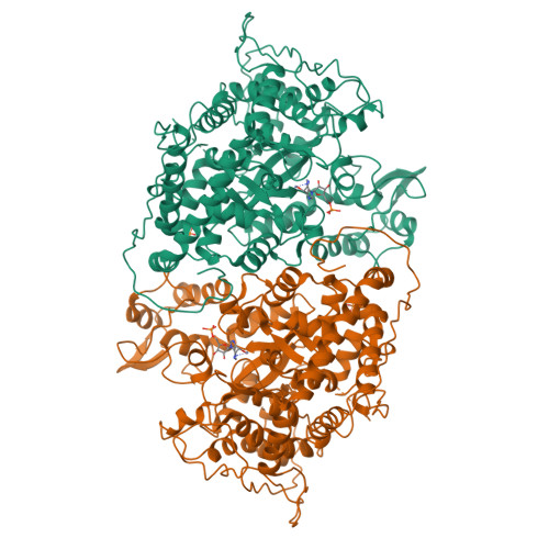 AMP deaminase structure