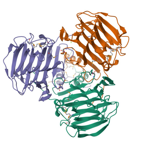 RCSB PDB - 2A5Z: Crystal Structure of Protein of Unknown Function 